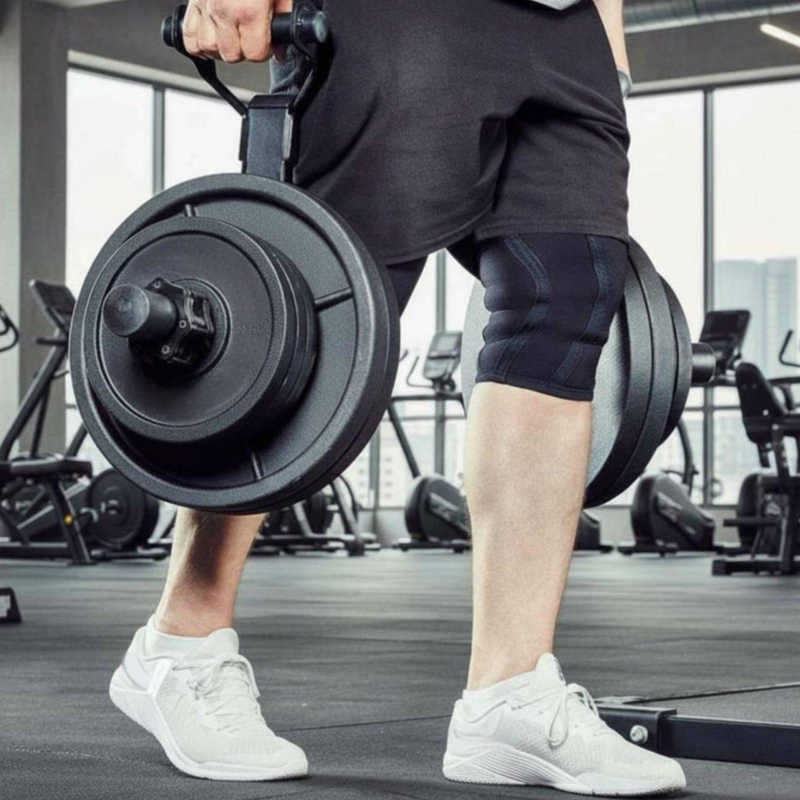 Mehrgrößen-Hantelscheibenhalte – Home Gym Rack Bewertung und Preis