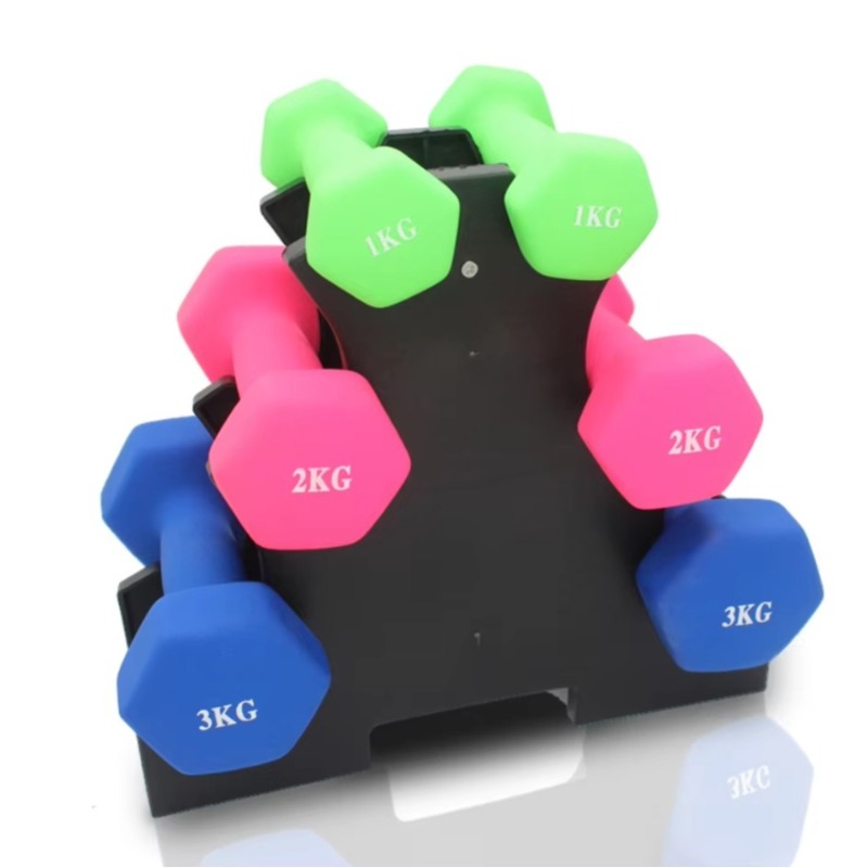3-stufiges Hantelregal für Hei – Home Gym Rack Bewertung und Preis