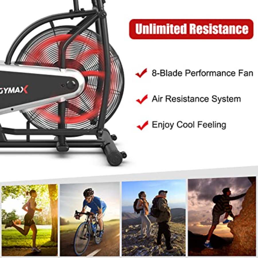 Heimfitness-Cardio-Training: V – Home Gym Leg Bewertung und Preis
