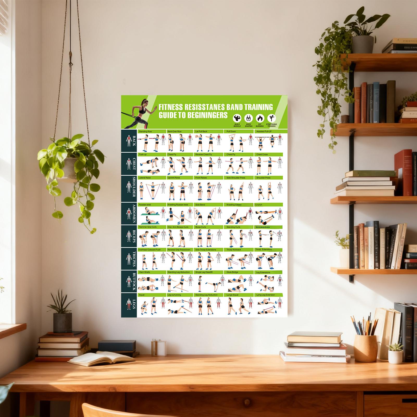 Trainingsposter mit Widerstand – Home Gym Guide Bewertung und Preis