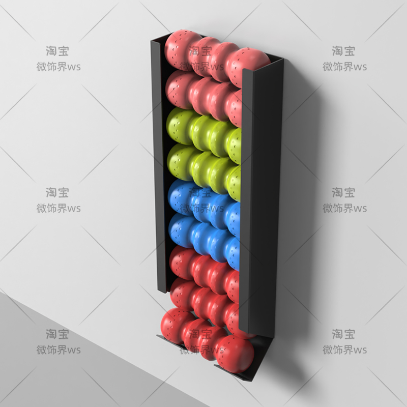 ‌ An der Wand montierter Sport – Home Gym Folding Rack Bewertung und Preis