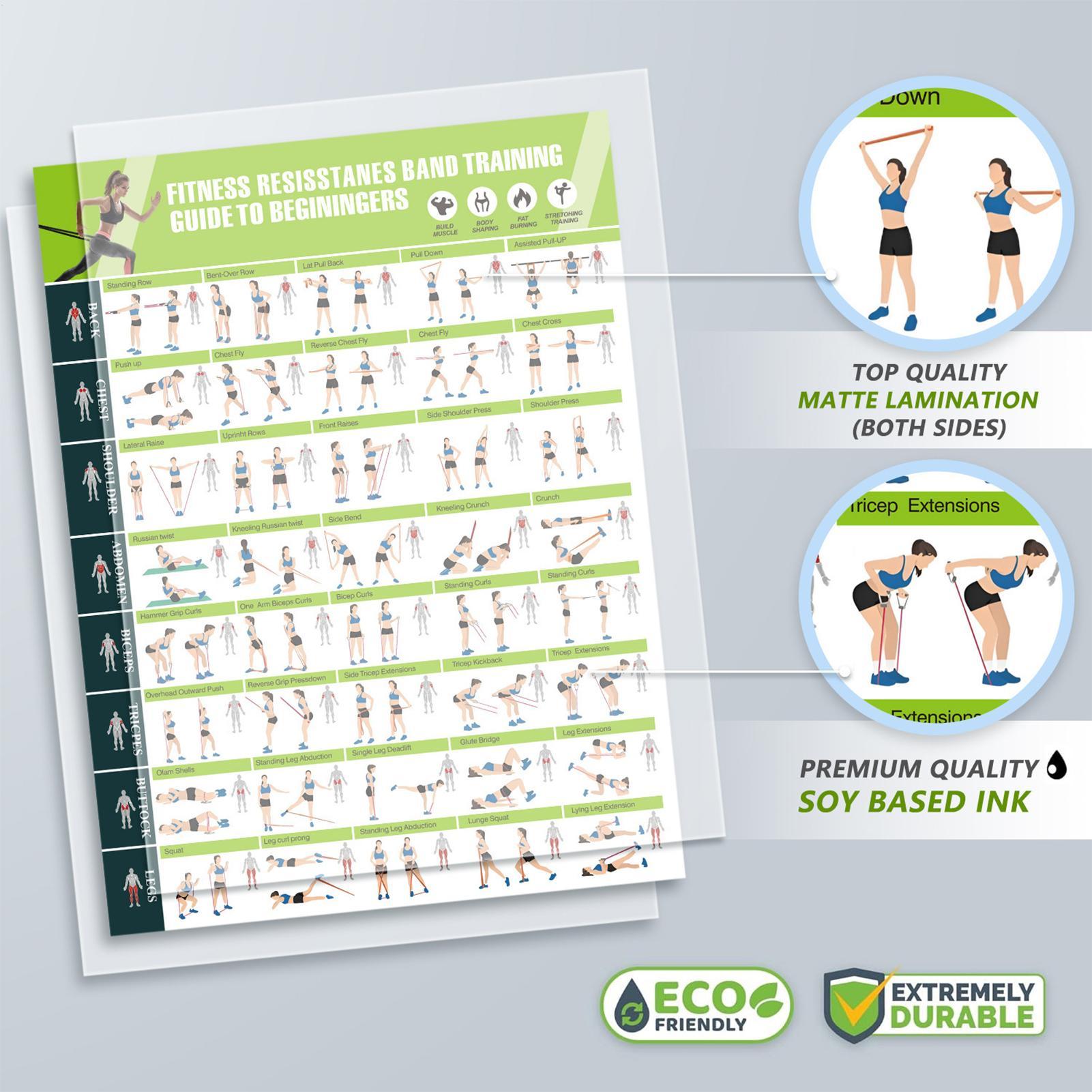 Workout-Poster mit Widerstands – Home Gym Guide Bewertung und Preis