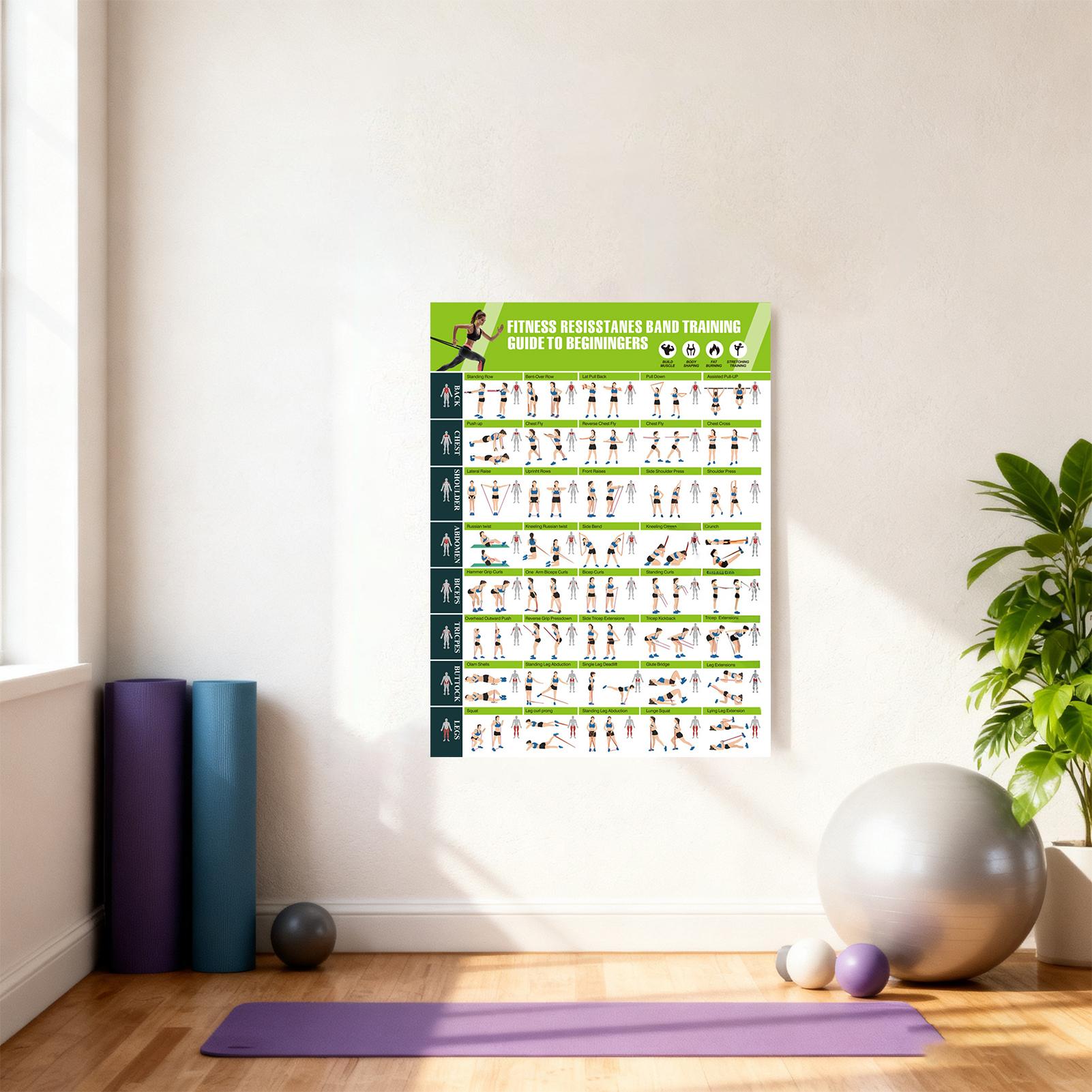 Workout-Poster mit Widerstands – Home Gym Guide Bewertung und Preis