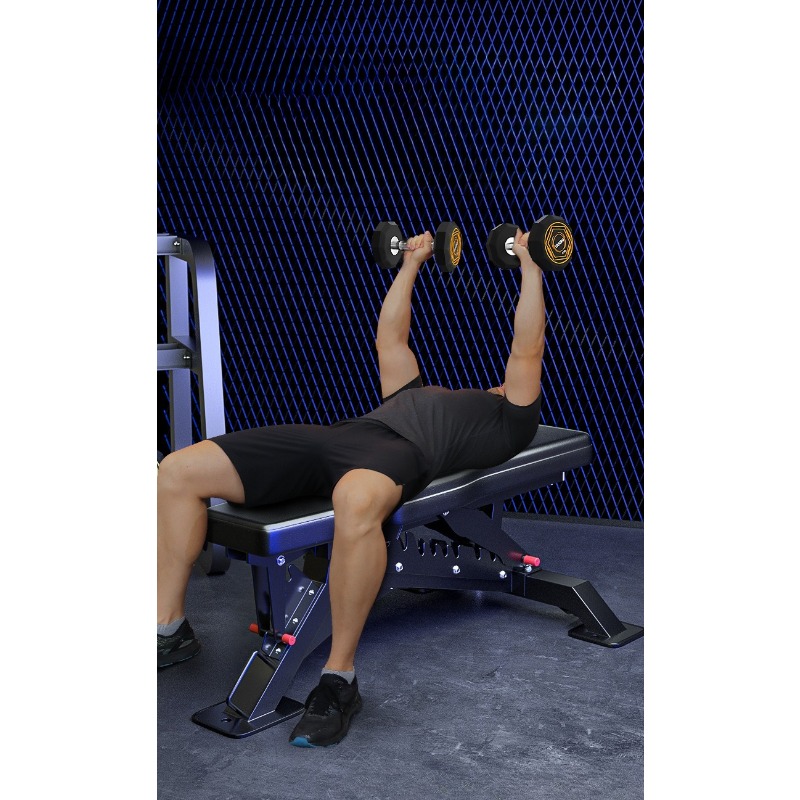 Kommerzielle High-End-Hantelba – Adjustable Weight Bench Bewertung und Preis
