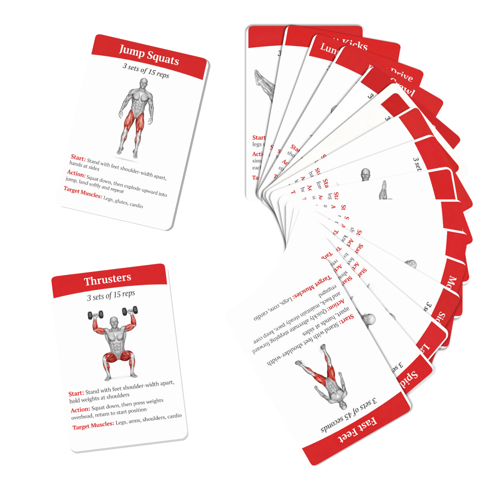 36-teilige Anleitungskarten zu – Home Gym Guide Bewertung und Preis